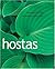 Hostas by Barrett, Rosemary (2004) Hardcover by Rosemary Barrett