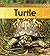 Turtle (Life Cycle of A...(Heinemann Paperback)) by Ron Fridell (2009-09-06)