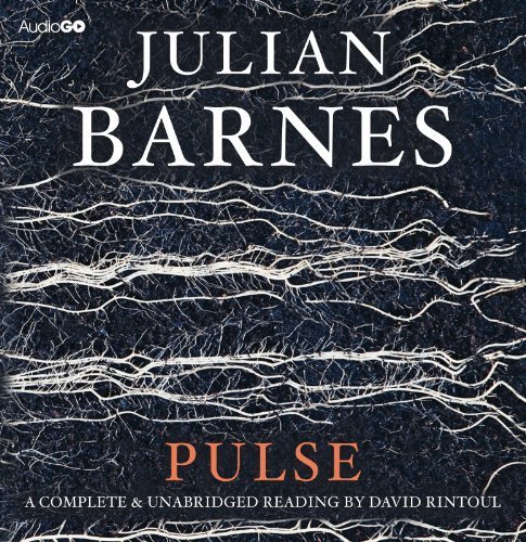Pulse CD Unabridged edition by Barnes, Julian published by Audiogo (2011) [Audio CD]