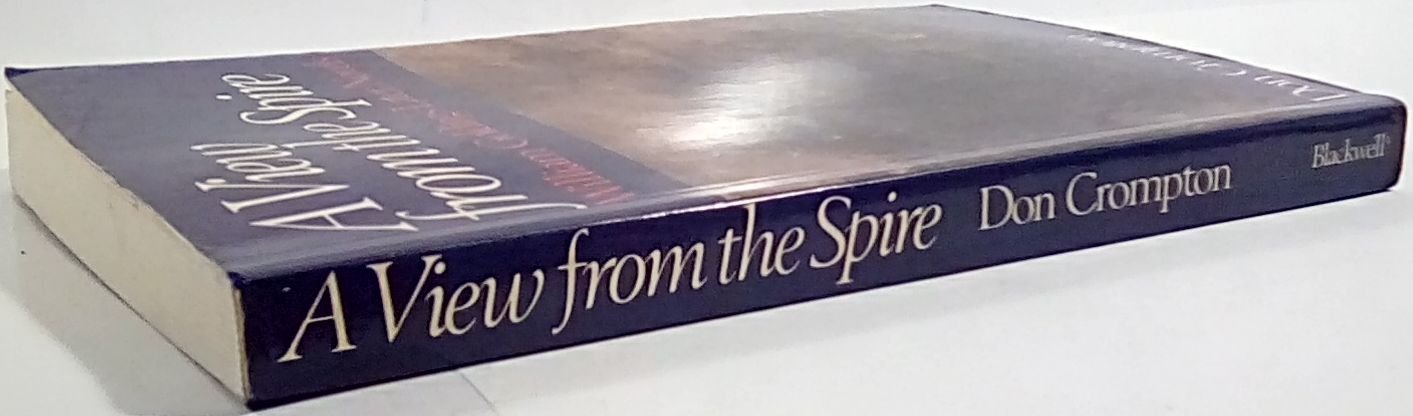 A View from the Spire : William Golding's Later Novels (Paperback)