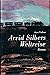 Arvid Silbers Weltreise: Roman