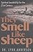 They Smell Like Sheep: Spiritual Leadership for the 21st Century Original Edition by Anderson, Lynn [1997]