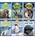 Polar Animals Science Vocab...