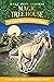 Windy Night with Wild Horses (Magic Tree House, #39) by Mary Pope Osborne