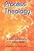 Process Theology; A Basic Introduction