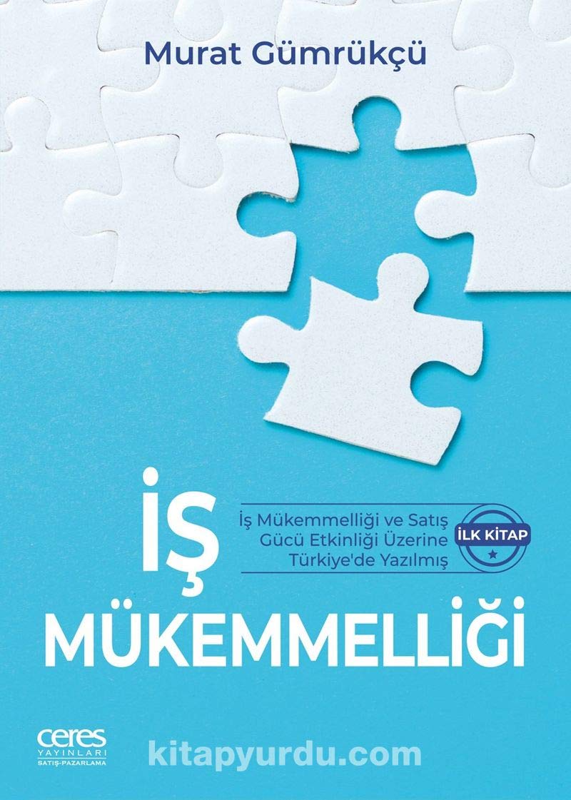 Is Mükemmelligi: Is Mükemmelligi ve Satis Gücü Etkinligi Üzerine Türkiye'de Yazilmis Ilk Kitap (Paperback)