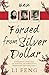 Forged From Silver Dollar by Li Feng (2015-07-30)