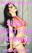 Sissy Sent For Training, Volume Three: Sissy Acceptance Is Hard (Sissy Sent For Training - Sold By his Wife To A Mistress Book 3)