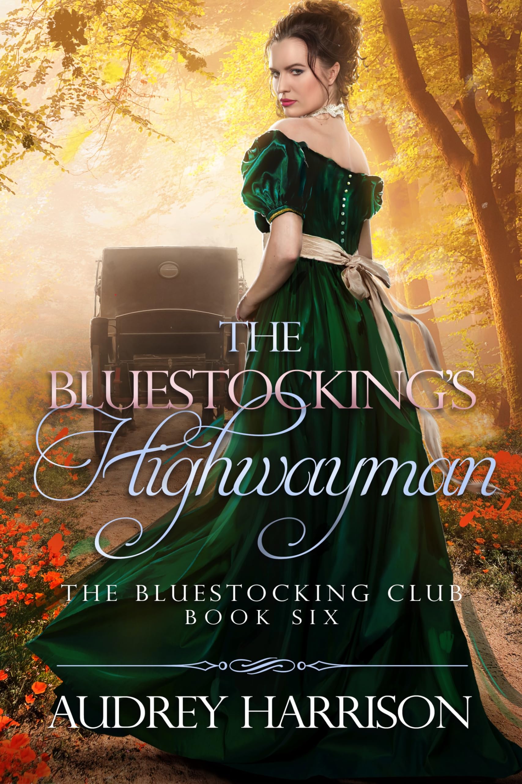 The Bluestocking's Highwayman (The Bluestocking Club #6)