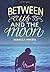 Between Us and the Moon by Maizel, Rebecca(June 30, 2015) Hardcover