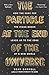 The Particle at the End of the Universe: How the Hunt for the Higgs Boson Leads Us to the Edge of a New World