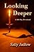 Looking Deeper: A 366 Day Devotional by Mrs. Sally Jadlow (2014-07-04)