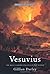 Vesuvius: The most famous volcano in the world by Gillian Darley (2011-05-12)
