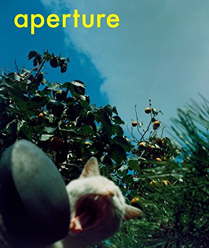 Aperture 189 (Paperback)