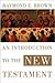 An Introduction to the New Testament 1st (first) edition Text Only