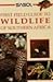 Wildlife of Southern Africa