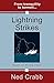 Lightning Strikes by Ned Crabb (2014-08-30)