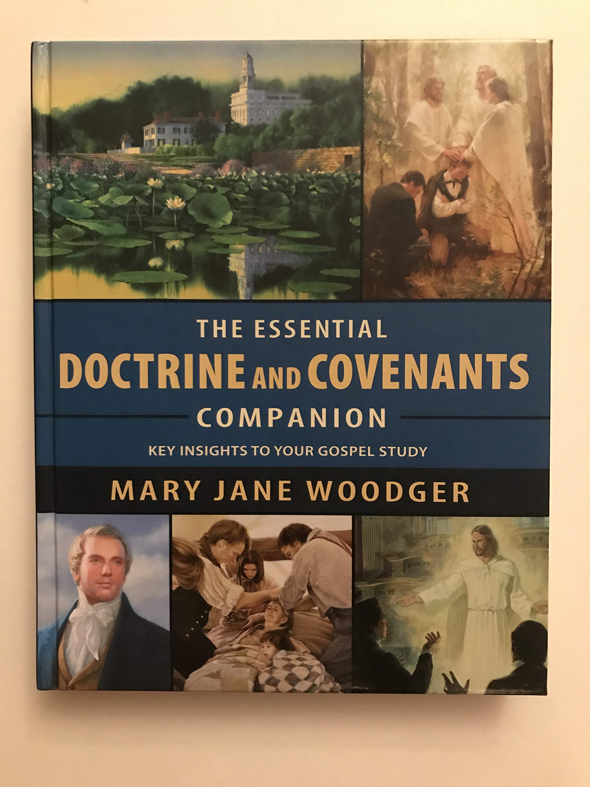The Essential Doctrine and Covenants Companion. Key Insights To Your Gospel Study (Hardcover)