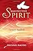 Send Out Your Spirit: Sponsor's Handbook by Michael Amodei (2010-06-01)