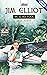 Jim Elliot: He Is No Fool (Torchbearers) by Irene Howat (20-Sep-2005) Paperback
