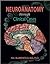 Neuroanatomy Through Clinical Cases, Second Edition, Text with Interactive eBook (Blumenfeld, Neuroanatomy Through Clinical Cases) by Hal Blumenfeld Second edition (Textbook ONLY, Paperback)