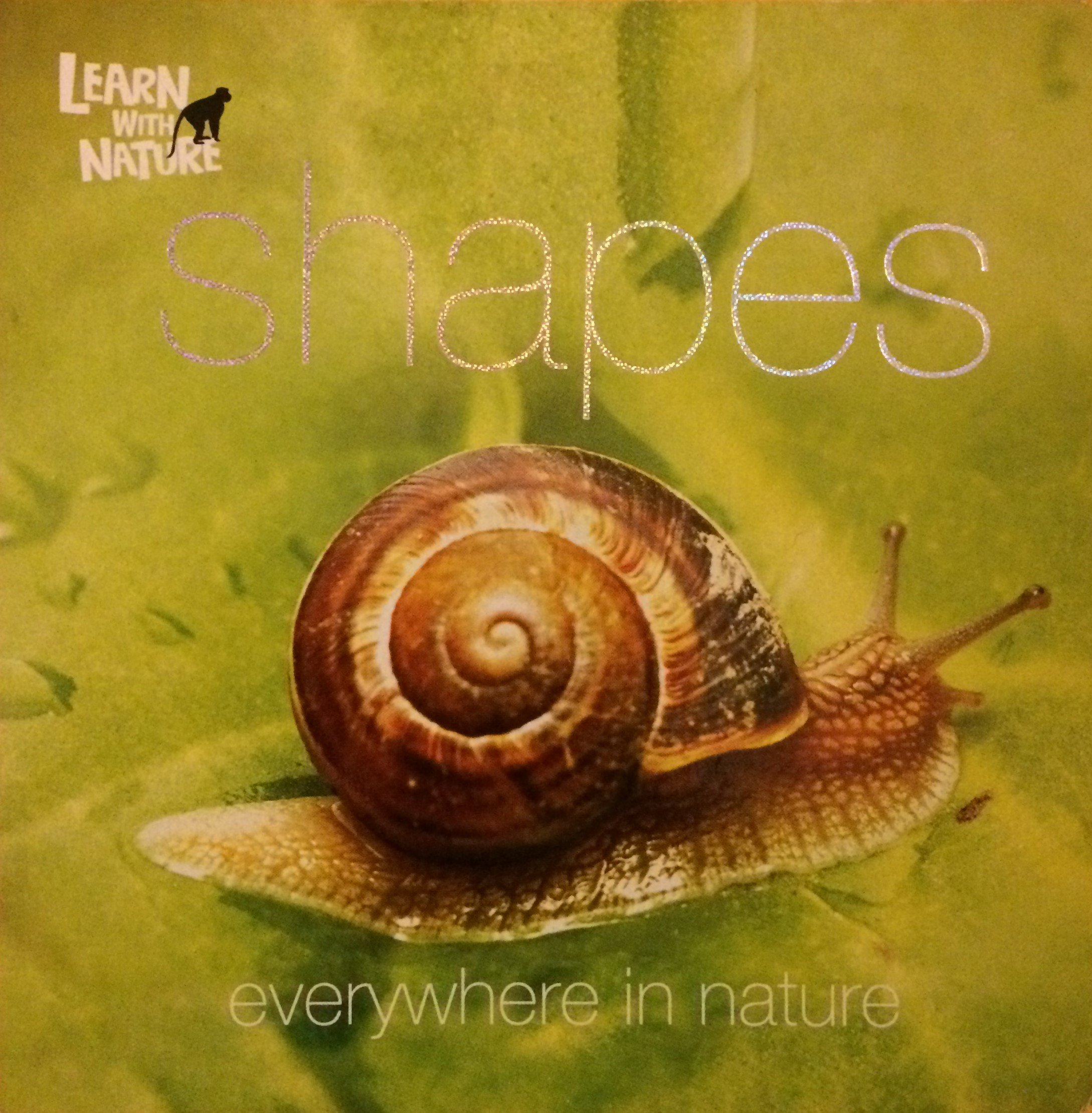 Shapes Everywhere in Nature (Board book)