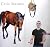 Chris Stevens 'the Age of R...