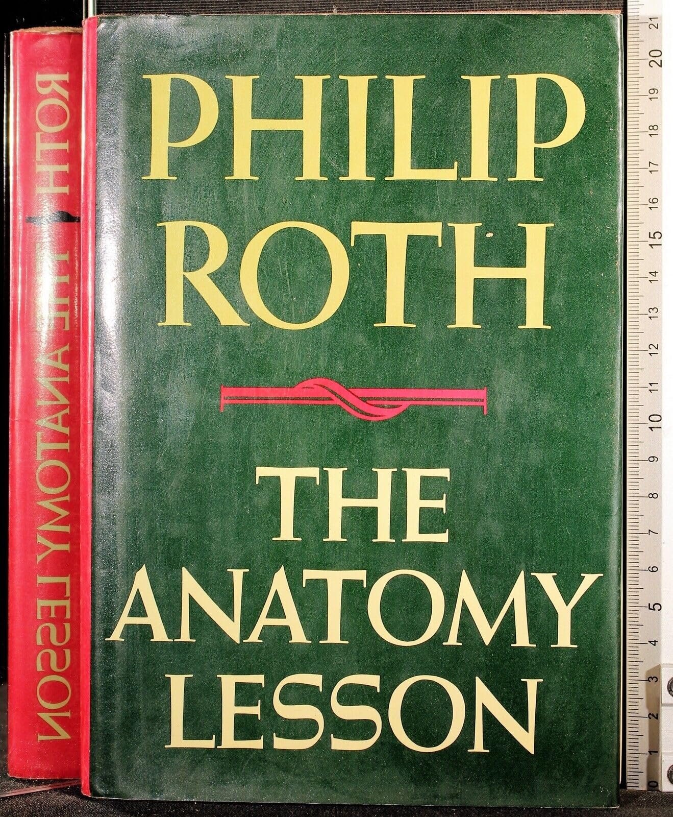 Anatomy Lesson