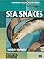 Sea Snakes by Harold Heatwole