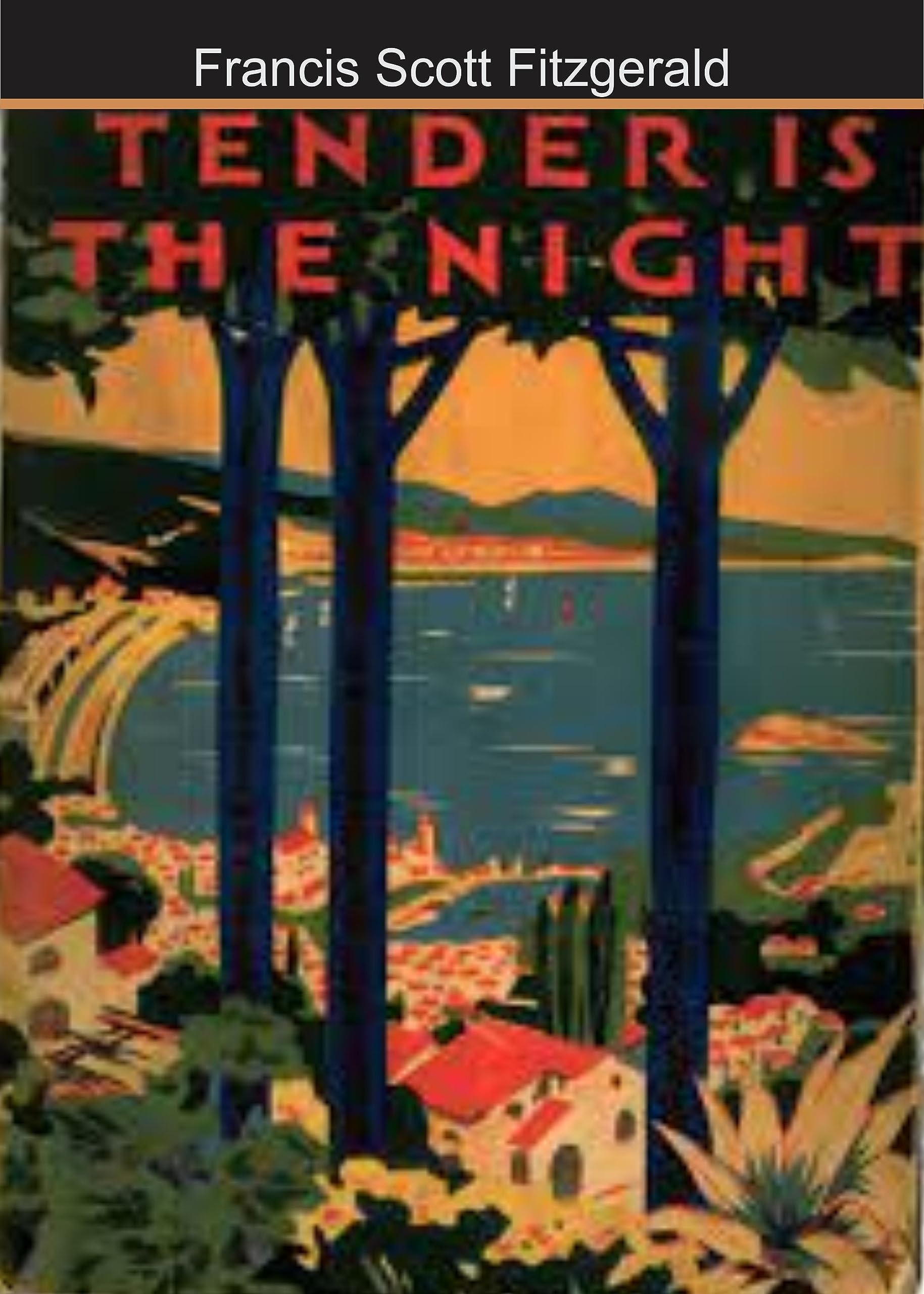 Tender is the Night : (Illustrated)