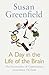 A Day in the Life of the Brain: The Neuroscience of Consciousness from Dawn Till Dusk by Susan Greenfield (2016-10-06)