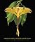 Lab Manual for Majors General Biology by SOLOMON/BERG/MARTIN by SOLOMON/BERG/MARTIN