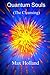 Quantum Souls (The Cleansing) by Mr Max Holland (2013-08-25)
