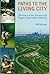 Paths to the Living City: T...