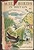 Wild Birds In Britain by Seton. Gordon