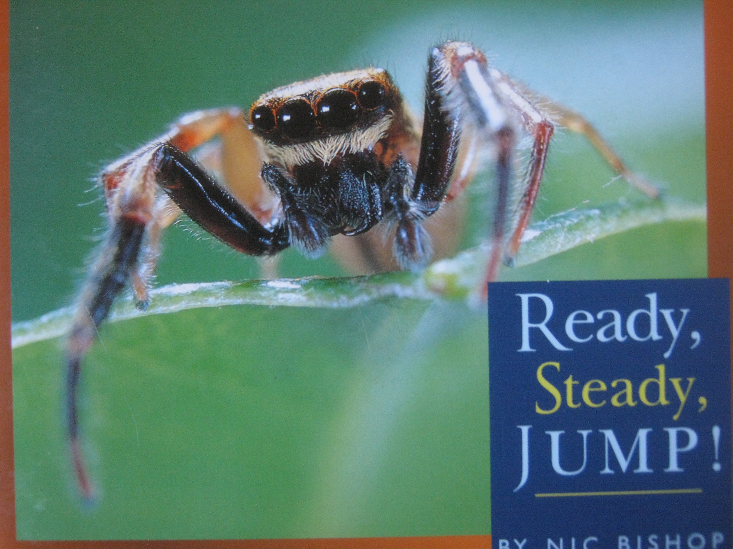 Ready, Steady, Jump! (Paperback)