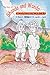 The Story of Shanda and Wanda in Dinosaur Valley by Judith Russell