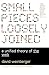 Small Pieces Loosely Joined: A Unified Theory Of The Web Reprint edition by Weinberger, David (2003) Paperback