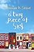 A Tiny Piece of Sky by Shawn K. Stout (2016-01-19)