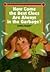 How Come the Best Clues Are Always in the Garbage? (Stevie Diamond Mysteries) by Linda Bailey (1996-03-03)