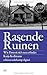 Rasende Ruinen: Wie Detroit sich neu erfindet (edition suhrkamp) von Kullmann. Katja (2012) Taschenbuch
