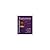 Economics A Tool for Critically Understanding Society [8th Edition] by Riddell, Tom, Shackelford, Jean A, Stamos, Steve C., Schneid [Addison Wesley,2007] [Paperback] 8TH EDITION