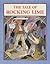 The Tale of Rocking Lime by Sergiu Celac