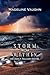 Storm From Within An Emily Fallon Novel (The Emily Fallon Trilogy Book 2)