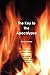 The Key to the Apocalypse by Steven Speray (2010-01-17)
