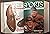 Sports Illustrated. Volumes...