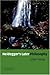 Heidegger's Later Philosophy by Young, Julian(December 17, 2001) Paperback