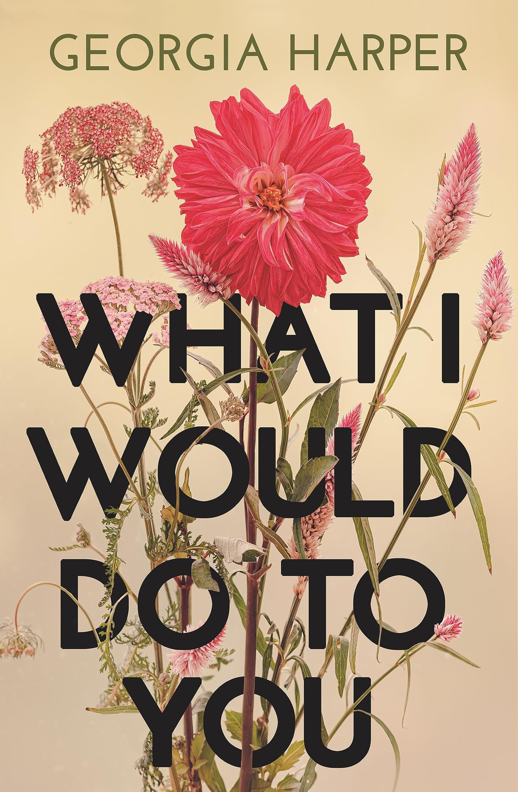 What I Would Do to You (Kindle Edition)