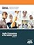 Agile Extension to the Babok (R) Guide (Version) (2013-07-01)
