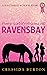 Pony Girl Problems at Ravensbay (The Ravensbay School Stories) by Cressida Burton